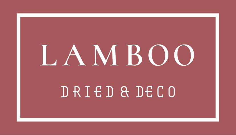 Lamboo_Logo_Redwood_RGB