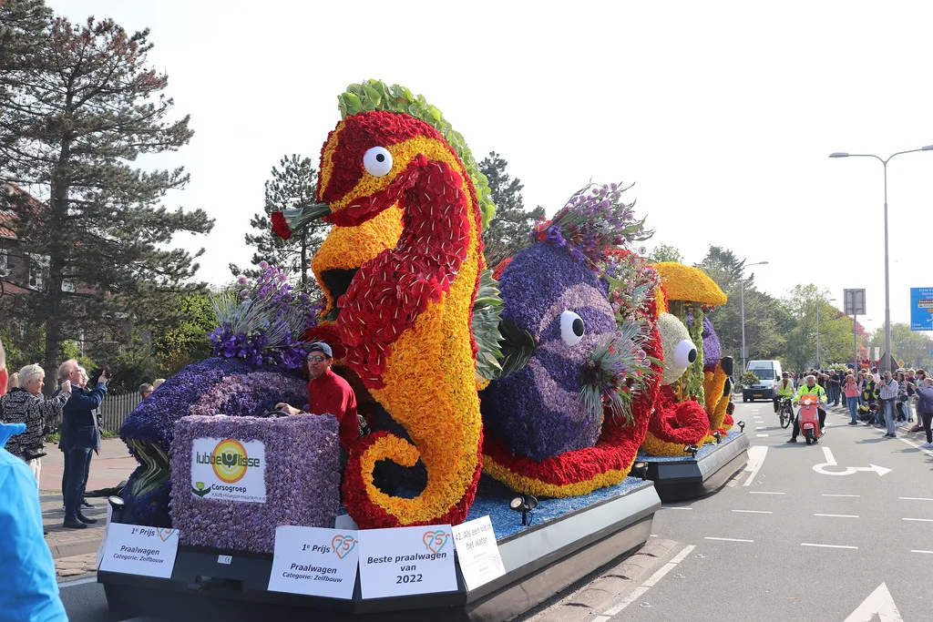 Tribuneplaats Lisse Zuid - Afbeelding 6