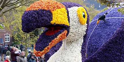 Flower Parade deelnemers