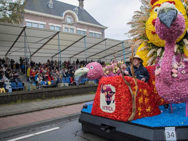 tribune Lisse Binnen