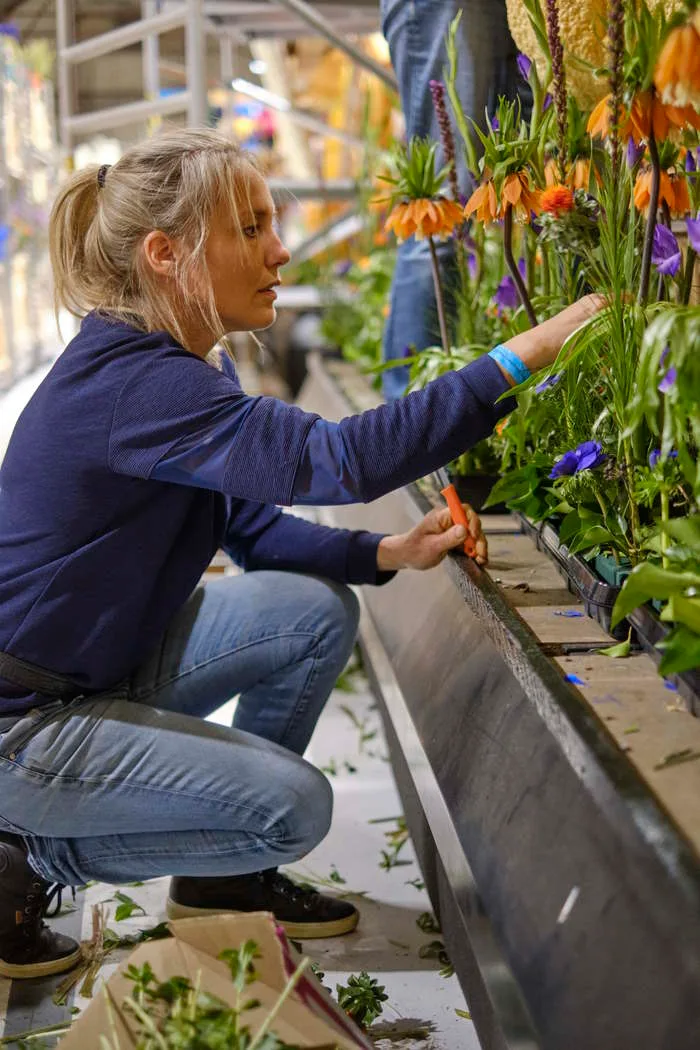 Achter de Schermen van het Bloemencorso - Afbeelding 5