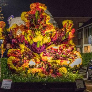 Tribune Noordwijkerhout bloemencorso bollenstreek