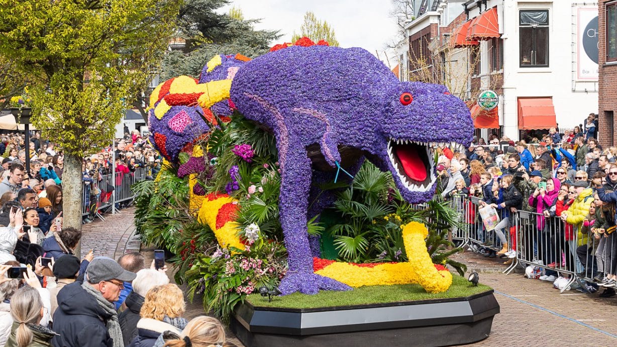 Drommen mensen kijken naar de praalwagens