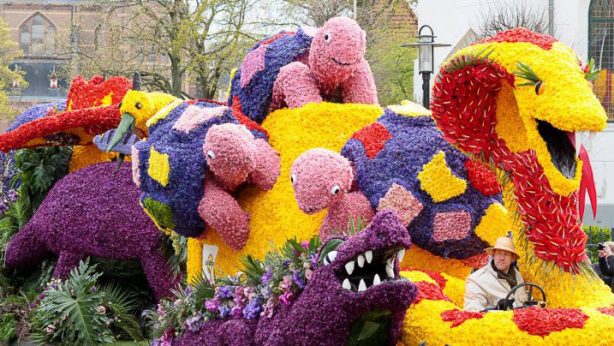 Bloemencorso-paradex3-1024×404-1